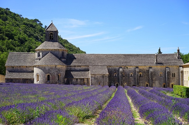 Location maison dans le Vaucluse : quels frais prévoir ?